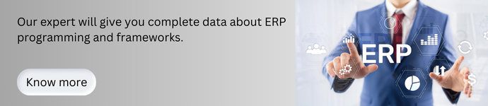 ERP AI chatbot ERP programming and frameworks
